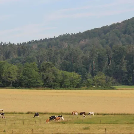 Cozy In Oberaula Ot 度假居